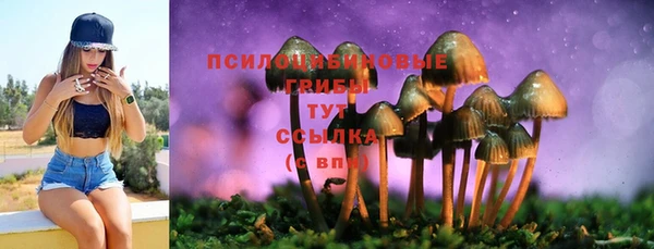 соль курить ск Абдулино