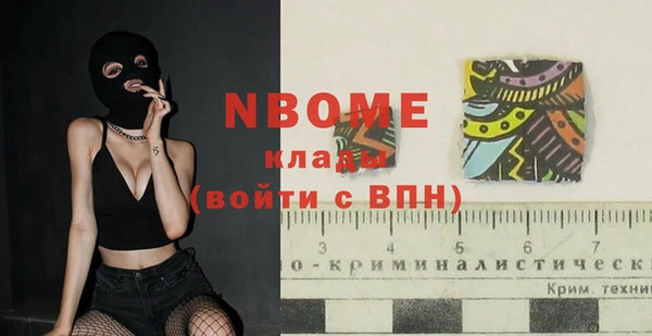 стаф Алексин