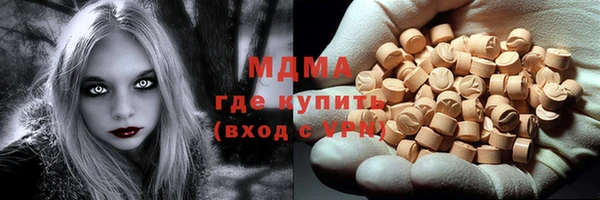 стаф Алексин