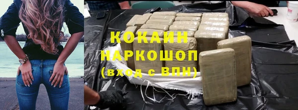 стаф Алексин