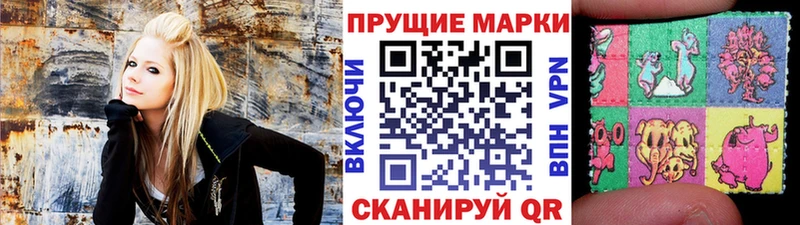 продажа наркотиков  блэк спрут ссылка  Марки 25I-NBOMe 1500мкг  Новопавловск 