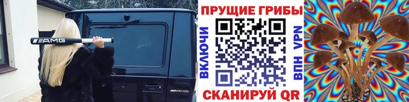 мега маркетплейс  Новопавловск  Галлюциногенные грибы Psilocybine cubensis 
