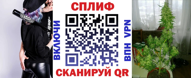 Канабис MAZAR  мориарти состав  Новопавловск  где найти  